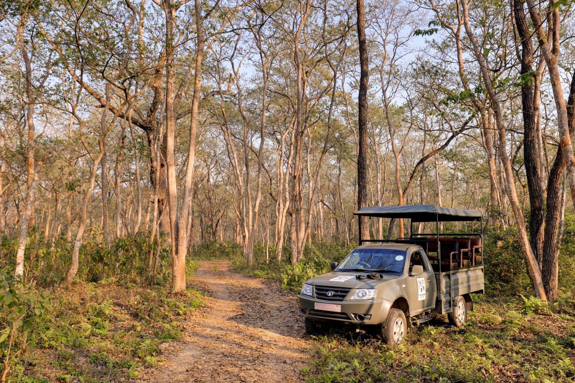Tigerland Safari - A Lemon Tree Resort, Chitwan, Nepal Patlahara Dış mekan fotoğraf