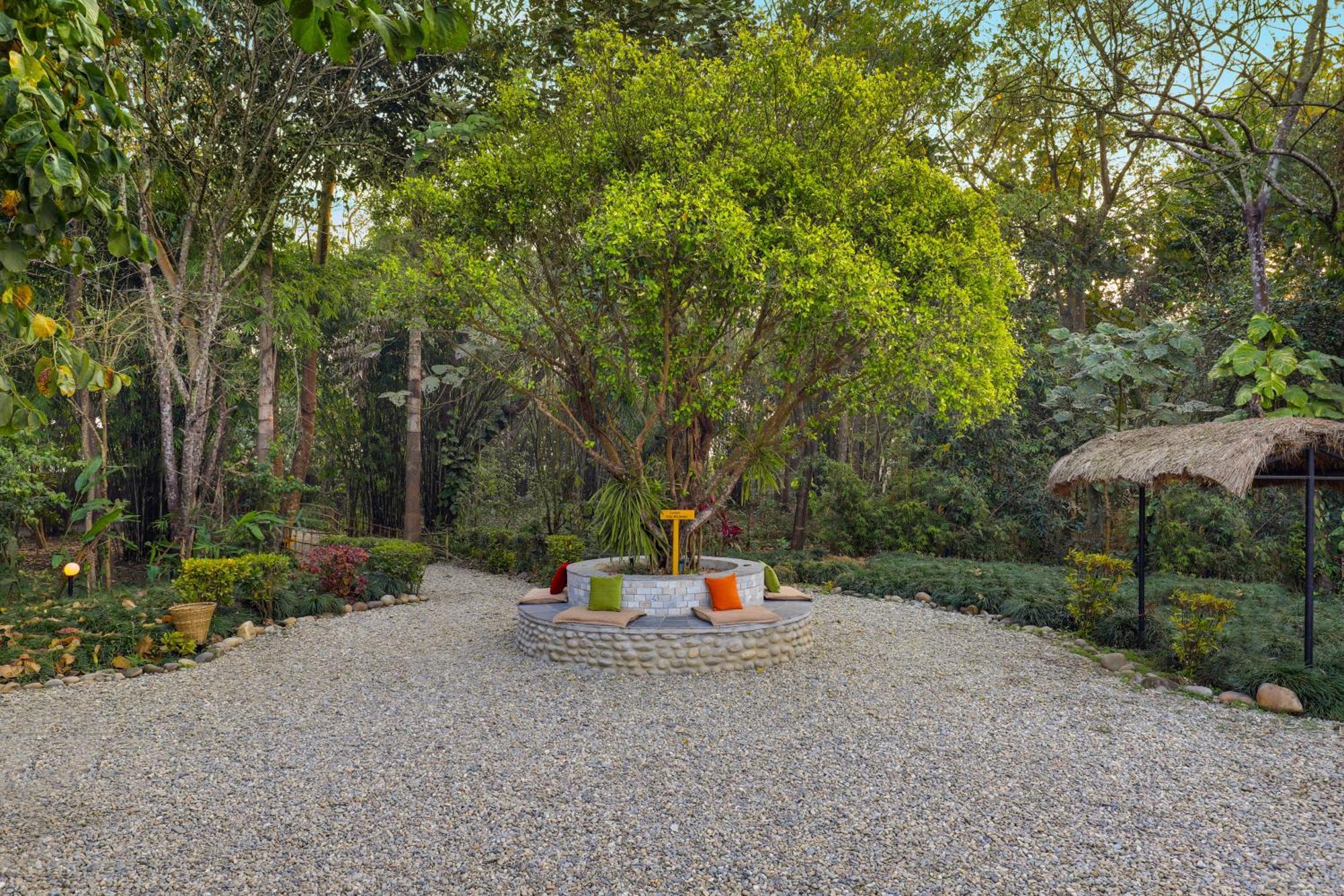 Tigerland Safari - A Lemon Tree Resort, Chitwan, Nepal Patlahara Dış mekan fotoğraf
