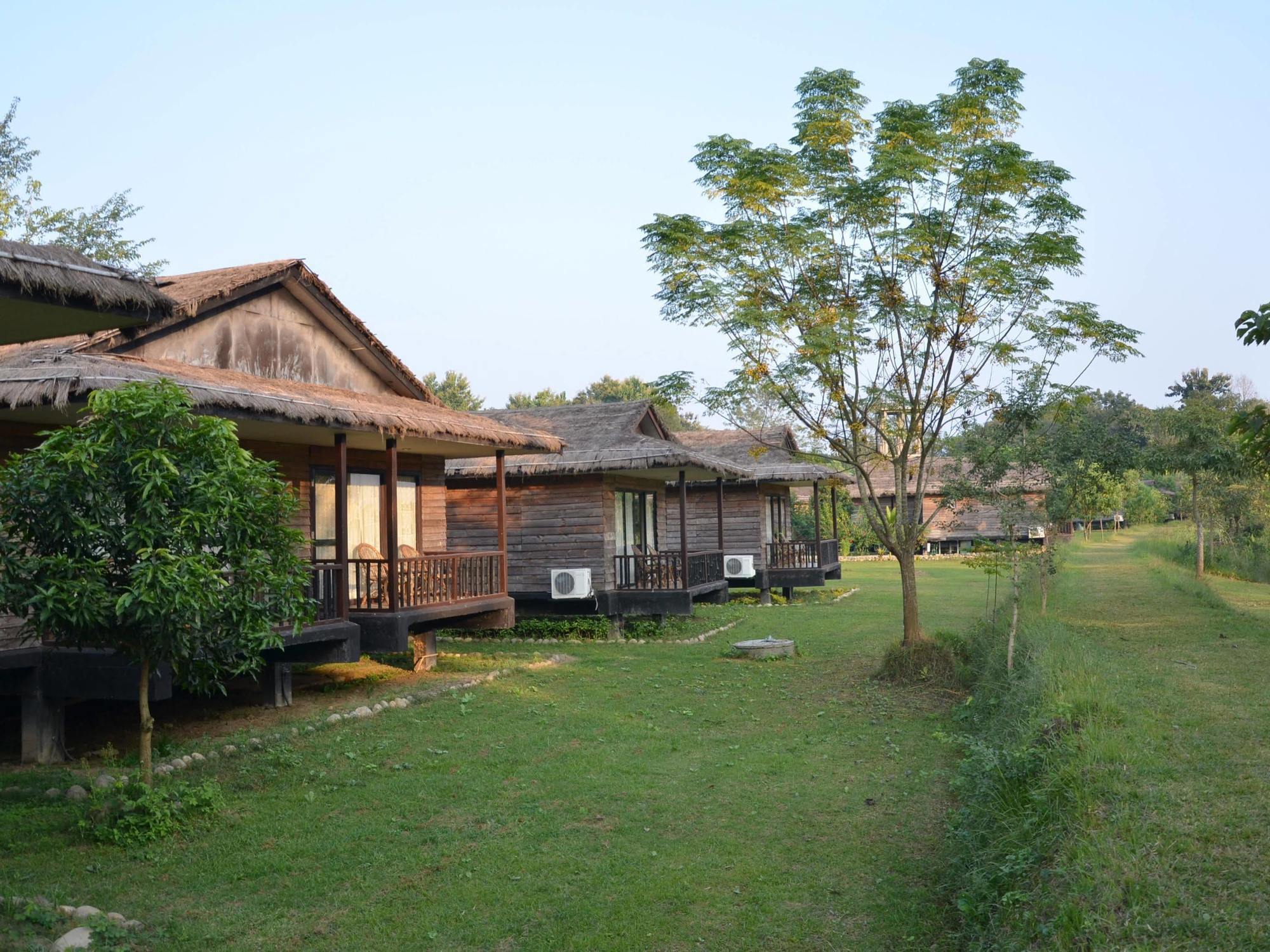 Tigerland Safari - A Lemon Tree Resort, Chitwan, Nepal Patlahara Dış mekan fotoğraf