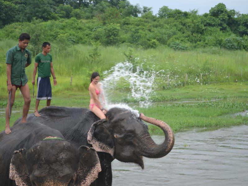 Tigerland Safari - A Lemon Tree Resort, Chitwan, Nepal Patlahara Dış mekan fotoğraf